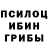 Псилоцибиновые грибы мухоморы RefMr