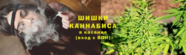 сатива Дмитриев