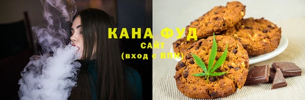 сатива Дмитриев